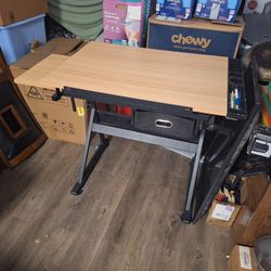 White Desk, Drafting Table, Queen Size Adult Bunk Beds