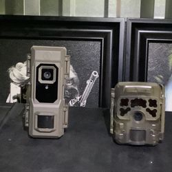 Trail Cam With 32 Go Memory Cards 