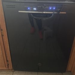 Dishwasher works great $10