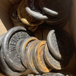 Vintage Cast Iron Weight Plates – 110 lbs (Weider, Jack LaLanne, Bollinger