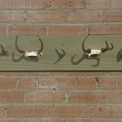 Deer Antler Coat Rack - Wall mounted