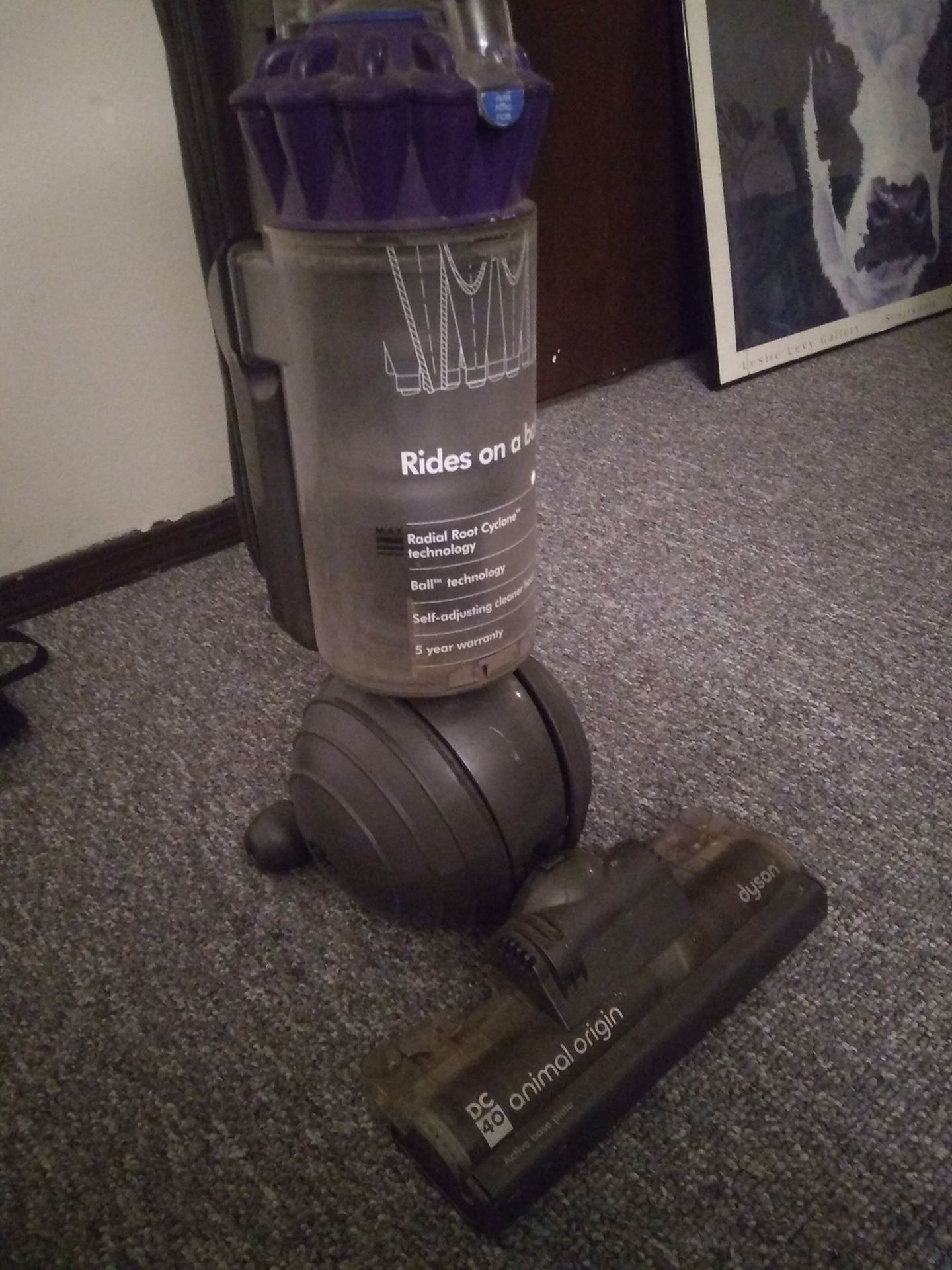 Perfect Dyson Vaccuum Cleaner