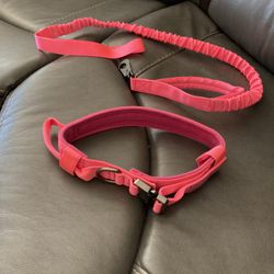 Pink Collar & Leash Set For Dogs Size XL 