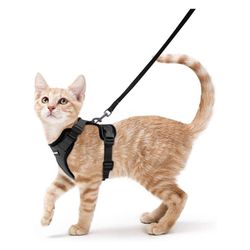 Cat Harness & Leash Size M - New!