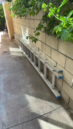 Ladders 25’