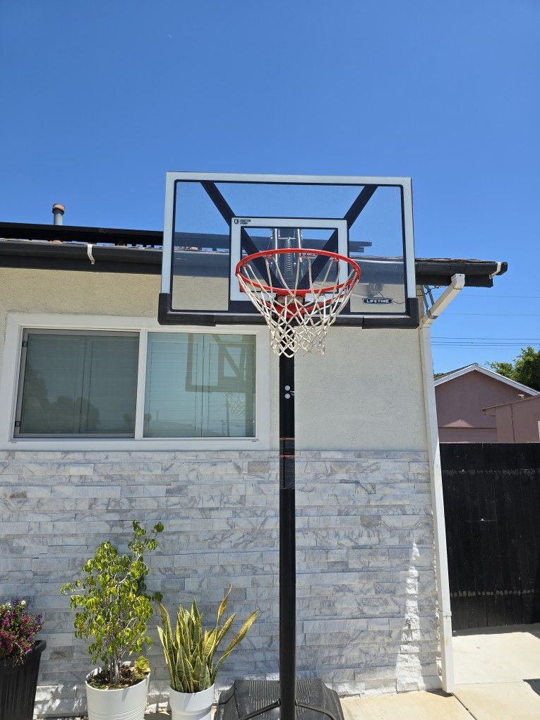 Lifetime Sharterproof Basketball Hoop 