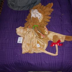 Lil LION COSTUME SZ 0-6 MONTHS Set