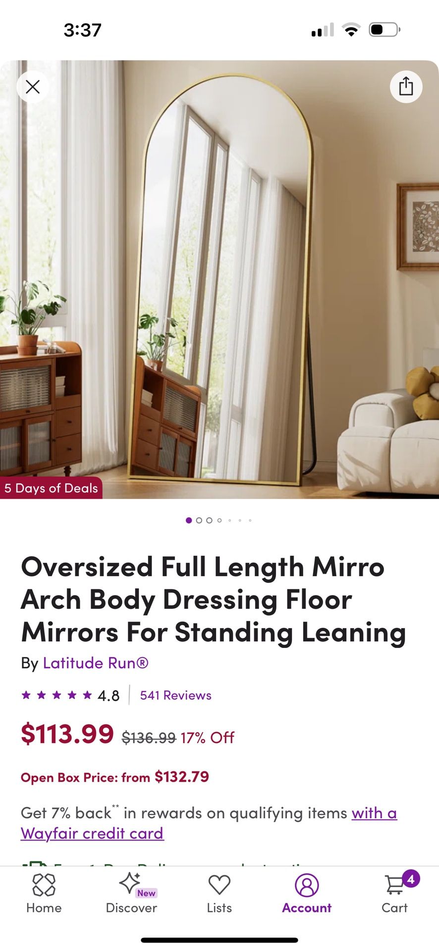 Full Length Mirror