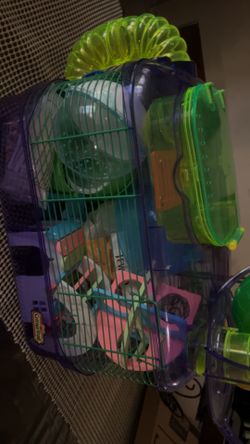 Hamster cage