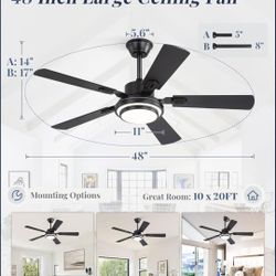 Indoor/Outdoor 48 Inch Ceiling Fan