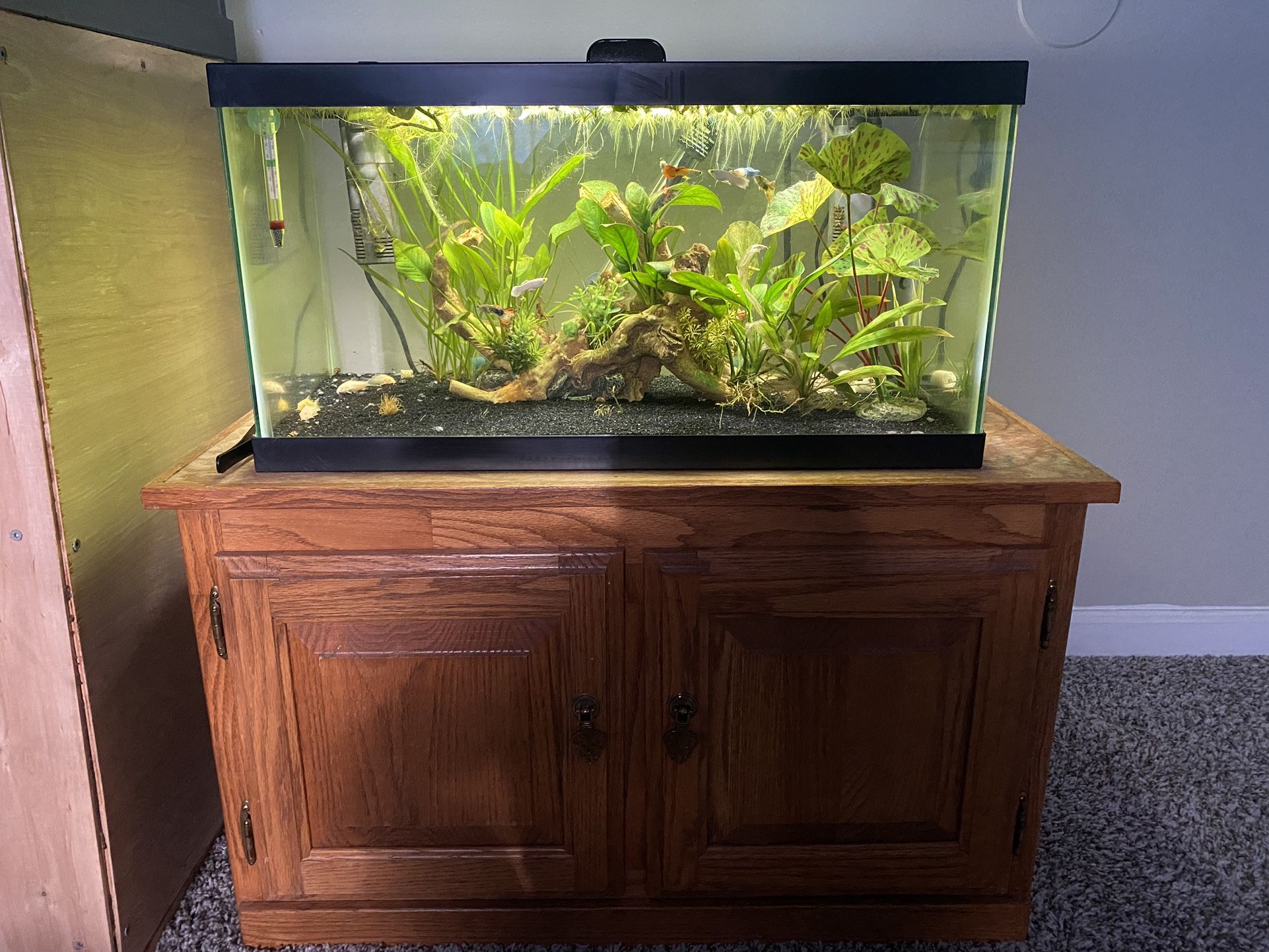 15 Gallon Tank And Stand 