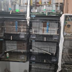 Breeding Bird Cages