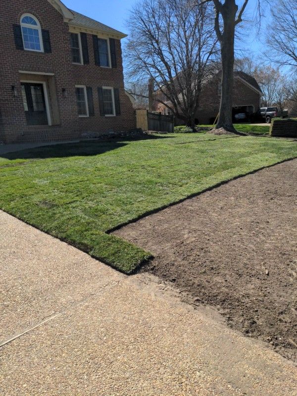 Fresh Cut Sod   Delivered And installed