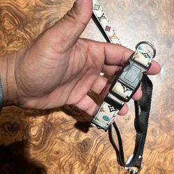 FOR SALE: Custom LV Small/Medium Dog Collar & Leash - $40