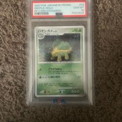Japanese Grotle Promo
