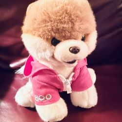 Boo World’s Cutest Dog