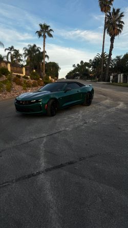 Car Wrap Material