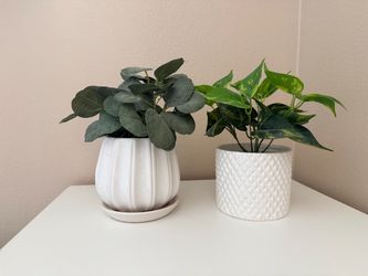 Faux Plants with Ceramic Pots