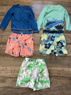 Boys 5t swimsuit set