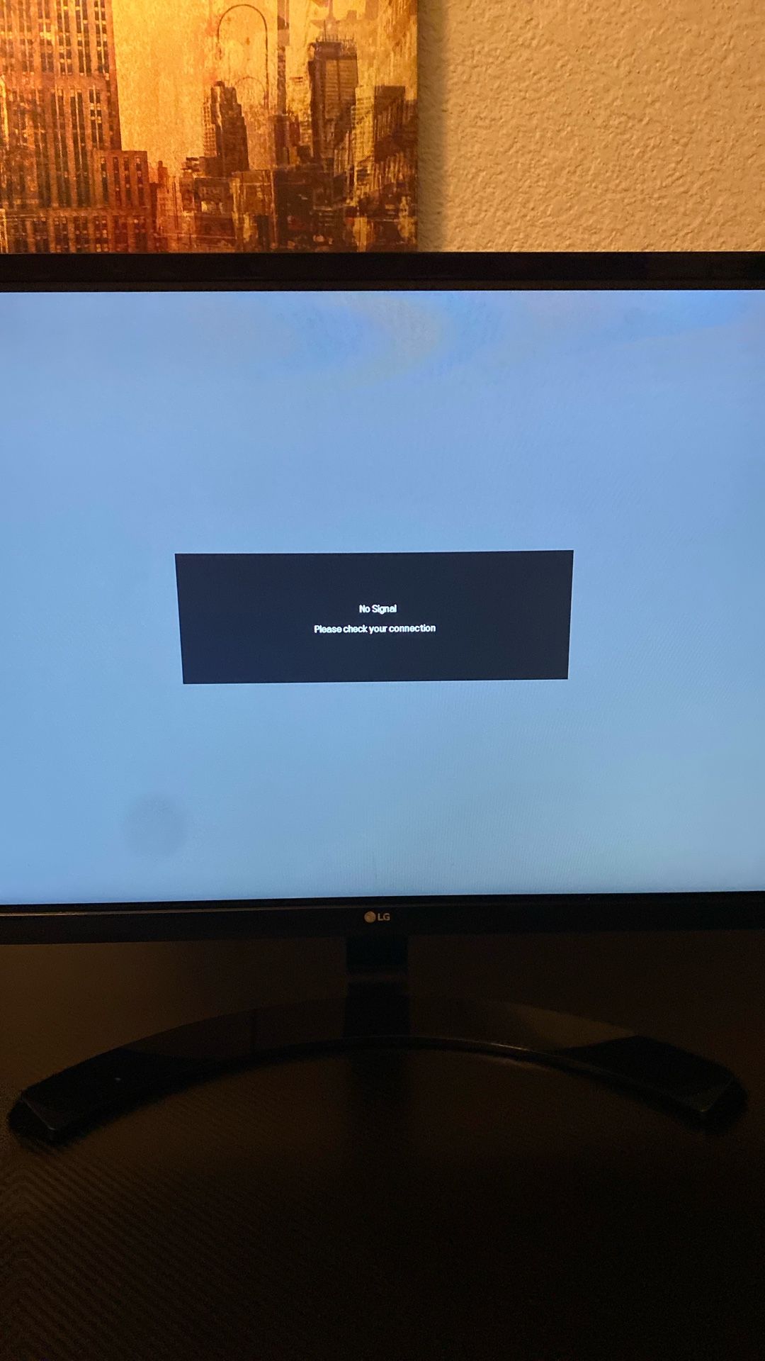 LG Monitor
