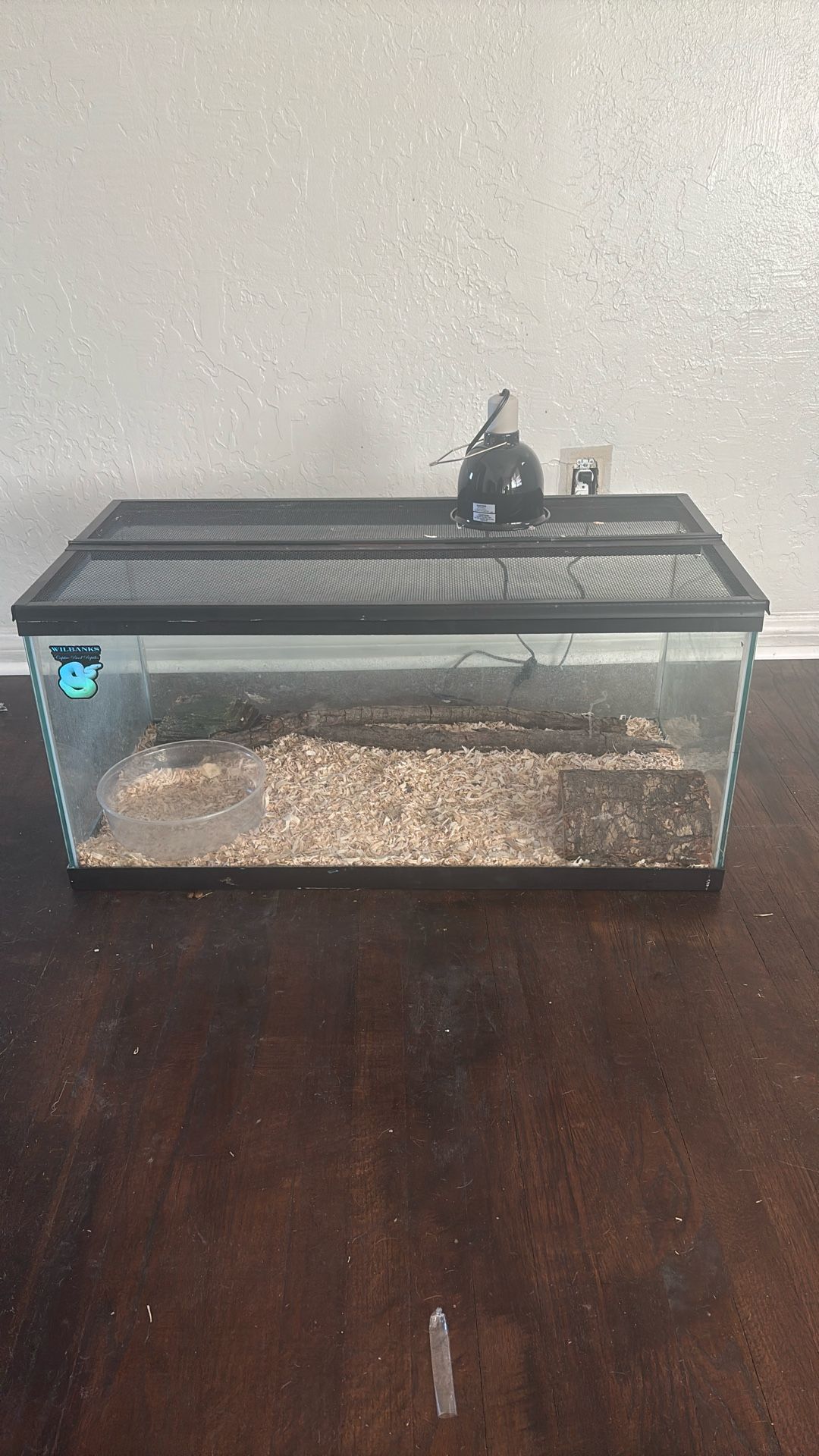 Reptile Tank