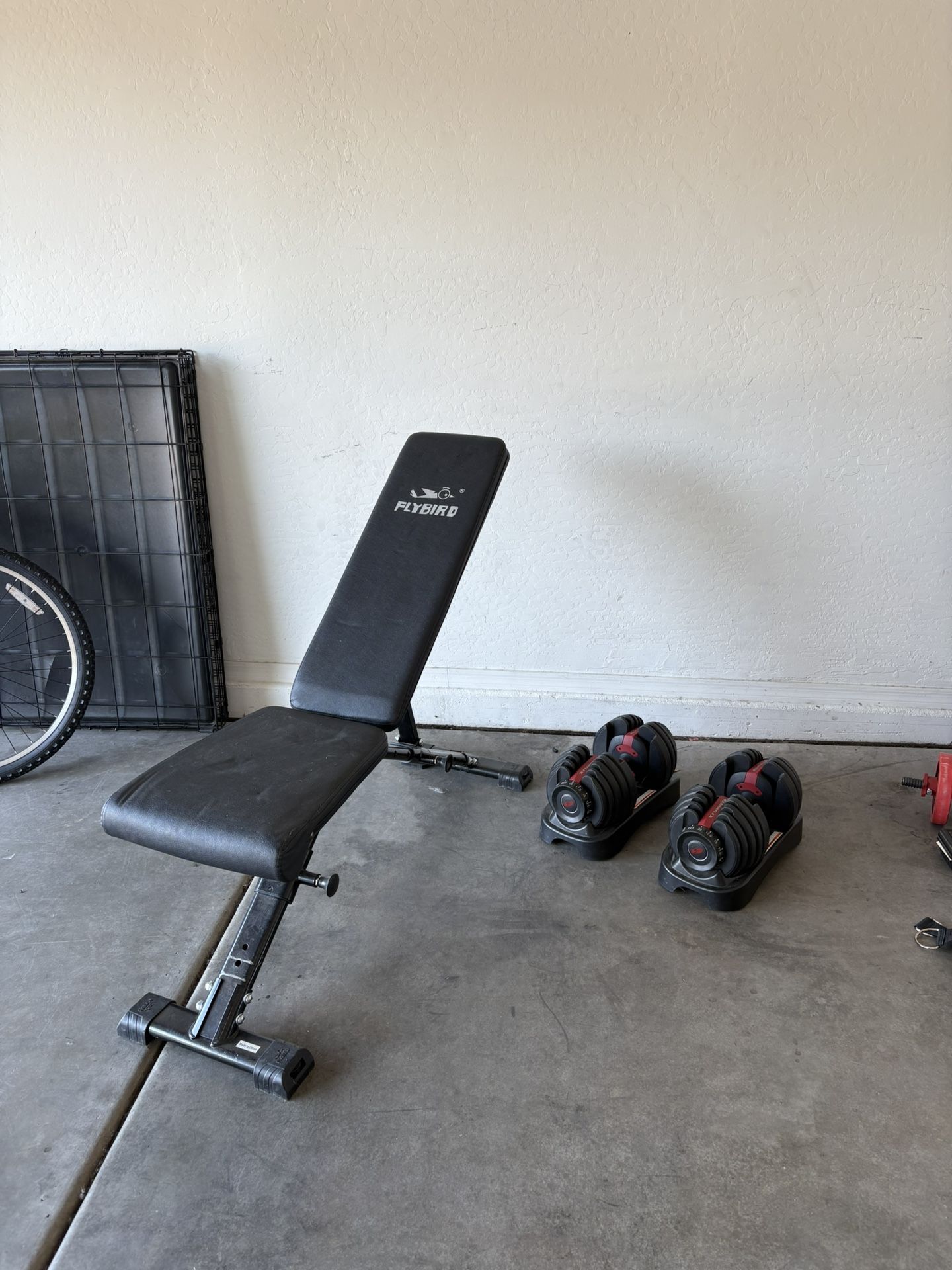 Work Out Bench And Weights