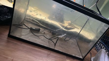 10 gallon fish tank