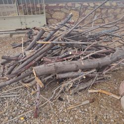 Lena GRATIS Montana Vista