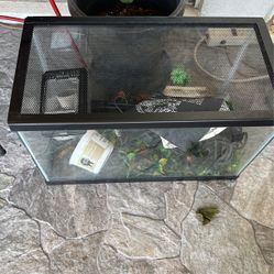 10 Gallon Tank Lids And Stuff