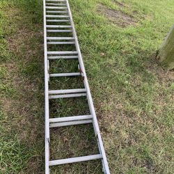 Ladder 