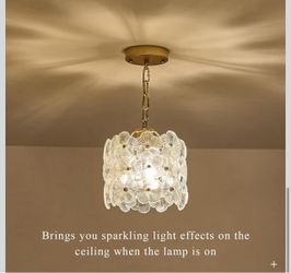 Clear Flower Glass Chandelier 1-Light Gold