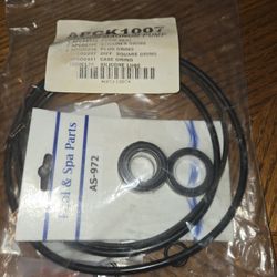 Jacuzzi Magnum Pump