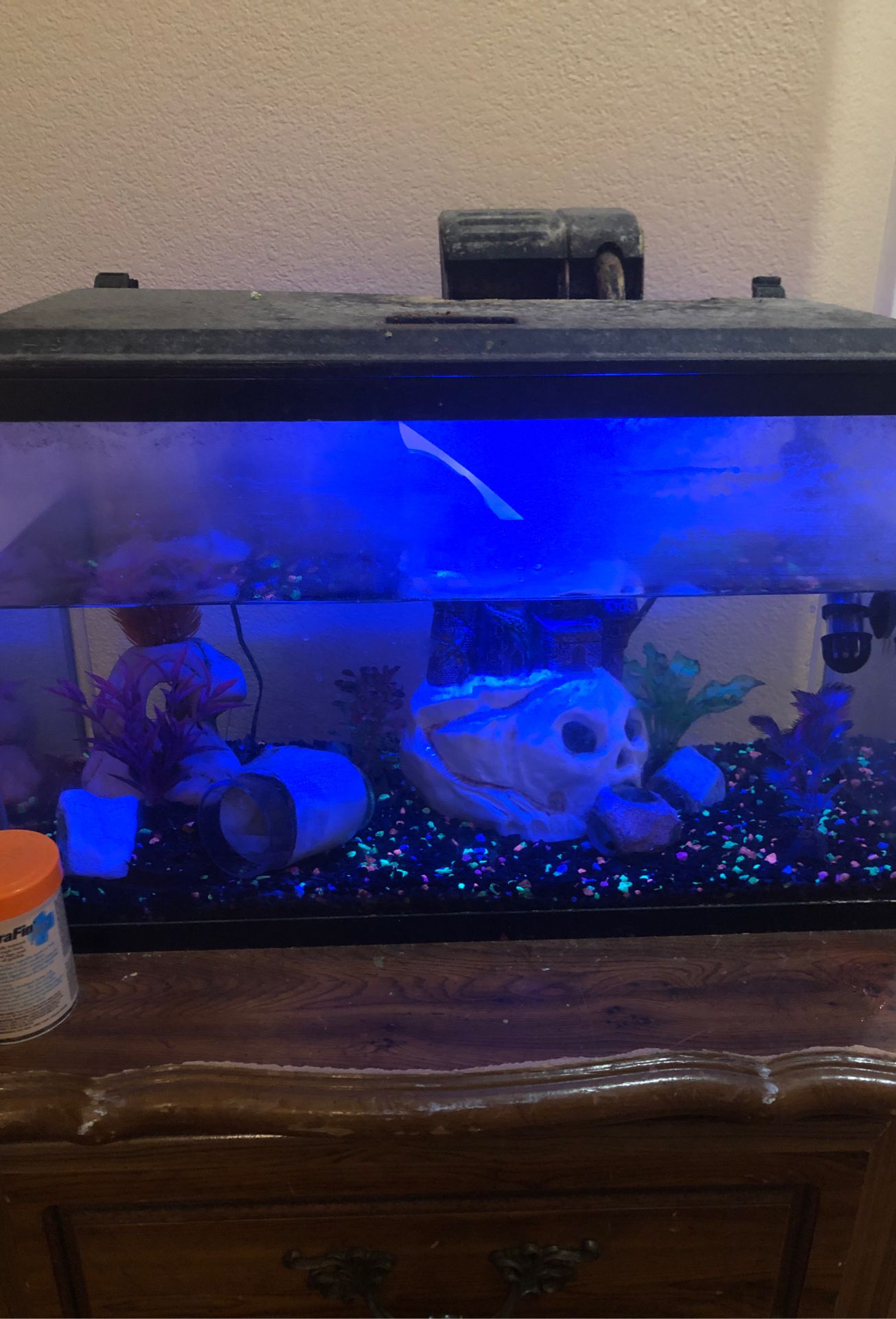 Fish tank with everything you see lights , pump , 1 big sucker fish , 15 gallons
