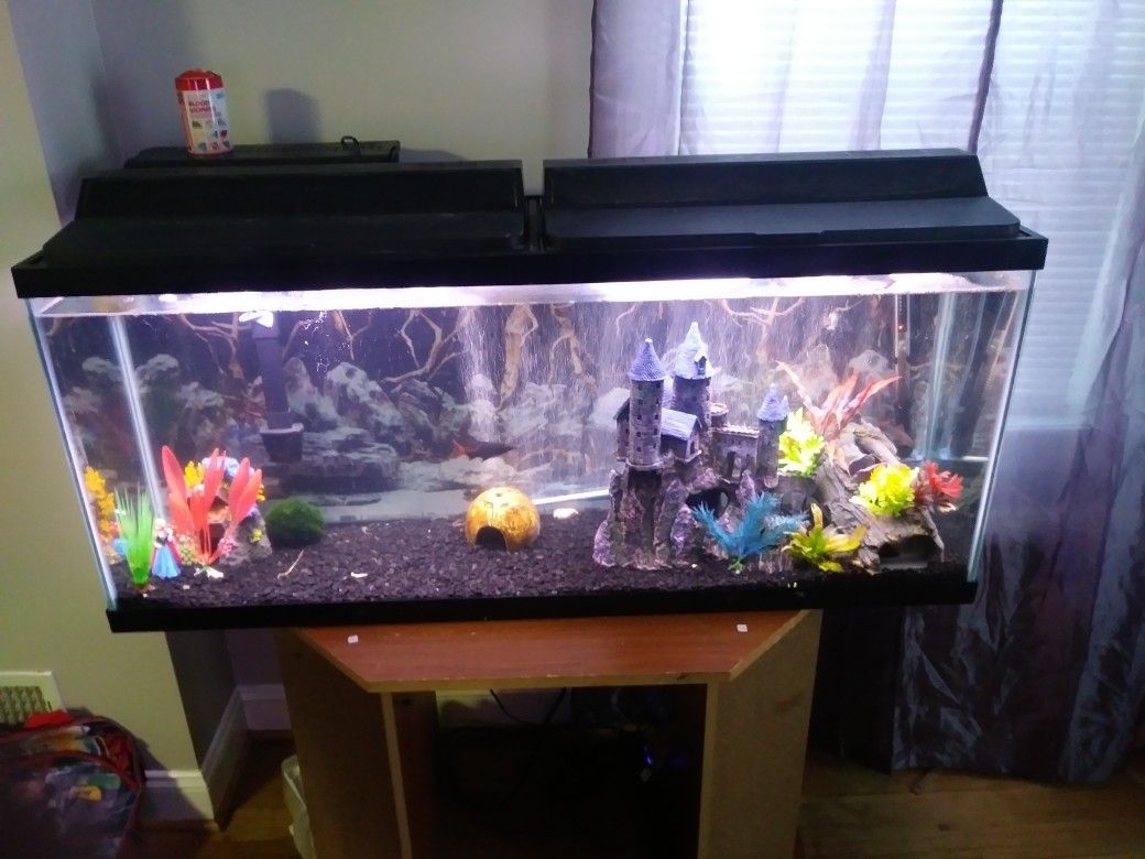 Fish tank 50 Gallon