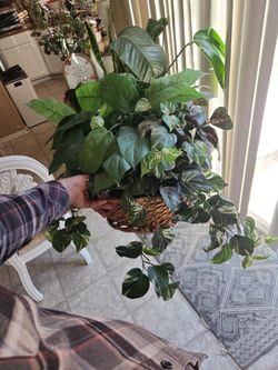 Artificial Plant In Basket