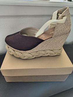 Zapato De Plataforma Nuevos