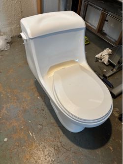 Glacier Bay One piece Toilet