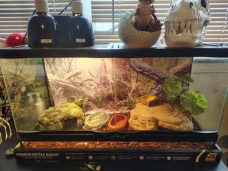 Reptile Tank