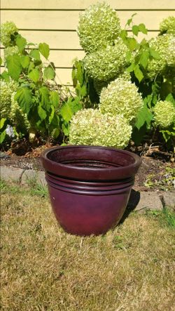 Nice Plastic Maroon Flower Pot