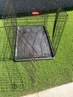 large dog kennel