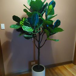 Artificial Plant, New