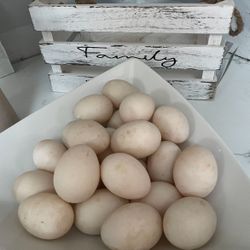 Hatching Eggs