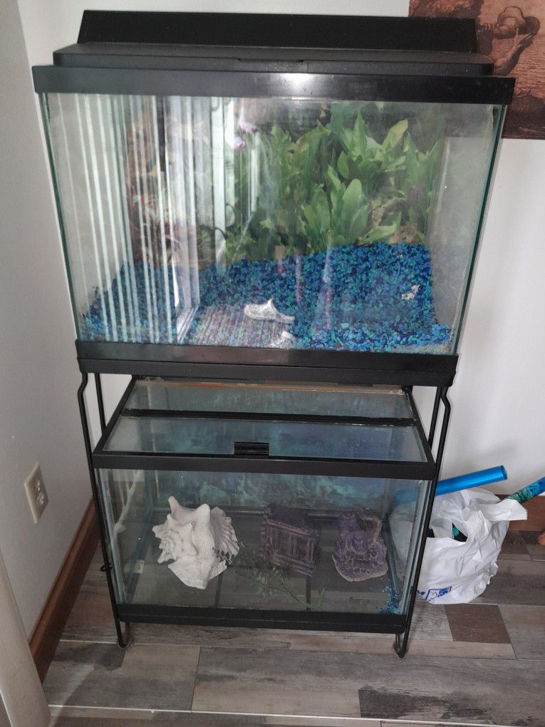 Double Fish Tank Filter Rocks Stand Included