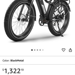 Fat Tire e-bike 