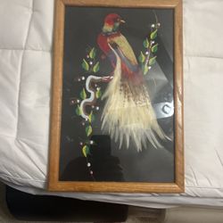 Mexican Feathered Art Pictures Framed
