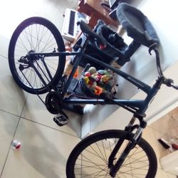 Schwinn Beach Cruiser 29inch