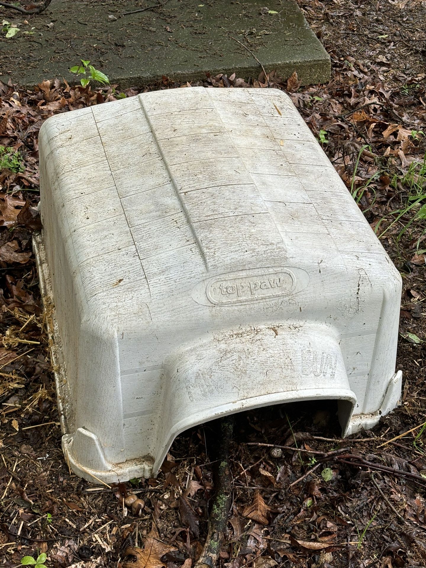 Rabbit House