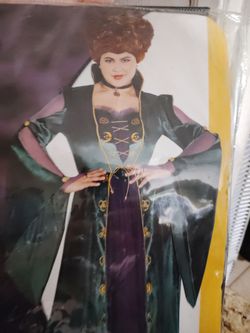 Hocus Pocus Winnie Sanderson size 22-24
