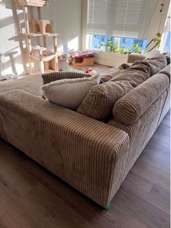 2.5 yr old sofa (cat friendly)