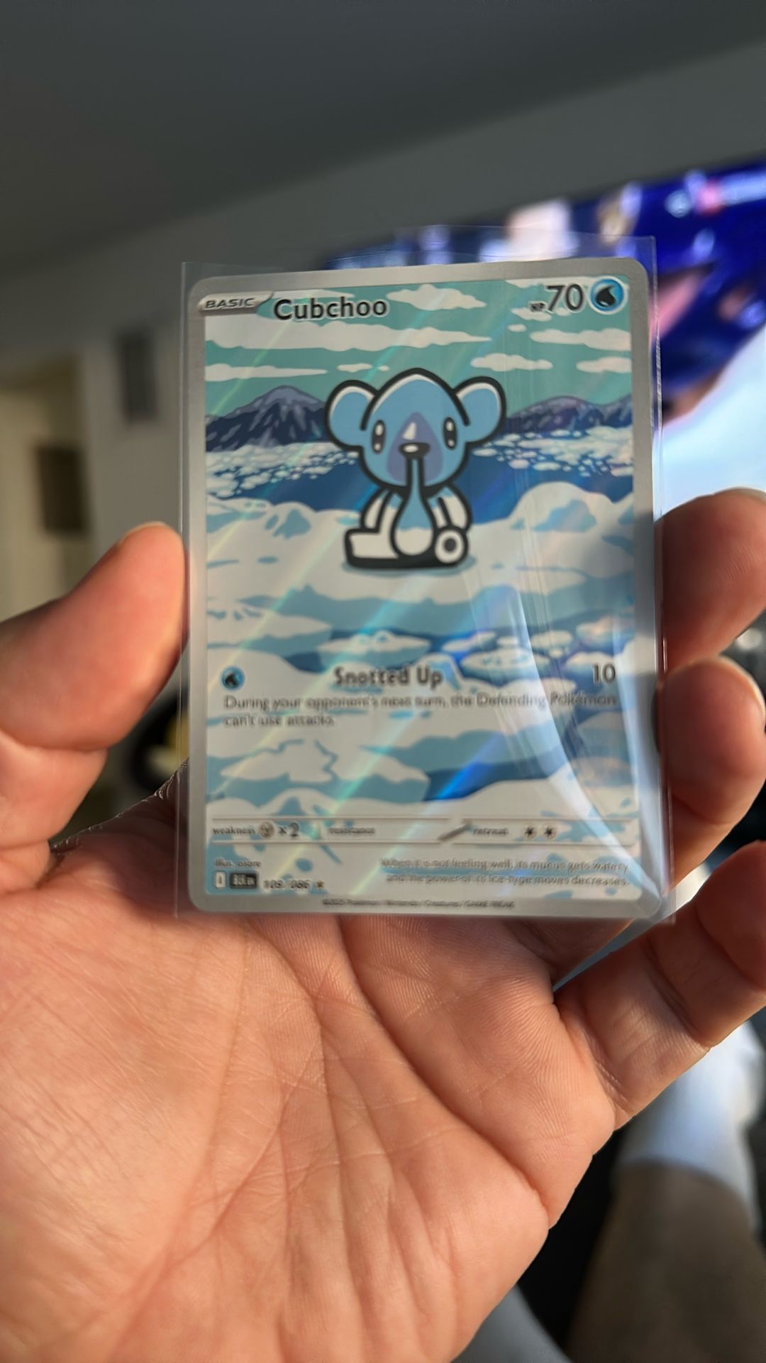 Pokémon Cubchoo 109/086